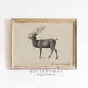 Tranh treo tường, tranh Giáng sinh mùa đông trang trí, Vintage Reindeer Print | Rustic Christmas Printable Wall Art | Antique Animal Print | Nursery Christmas Wall Art | Kids Room Winter Print
