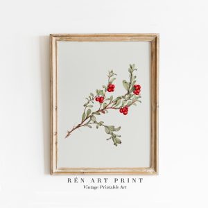 Tranh treo tường, tranh Giáng sinh mùa đông trang trí, Vintage Holly Leaves Print | Christmas Botanical Wall Art | Winter Berries Printable Art | Farmhouse Kitchen Holiday Decor