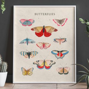 Tranh treo tường, tranh trang trí, Butterfly Art Print: Modern Nature Wall Decor