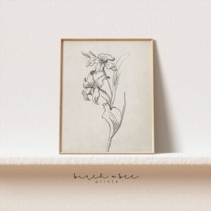 Tranh treo tường, tranh hoa cổ điển trang trí, Floral Sketch Print | Vintage Botanical Art
