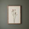 Tranh treo tường, tranh hoa phong cảnh trang trí, Vintage Botanical Print | Floral Art Print | Country Cottage Wall Decor