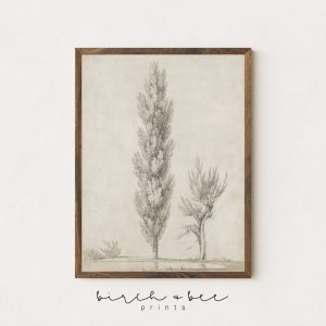 Tranh treo tường, tranh phong cảnh hiện đại trang trí, Vintage Tree Sketch | Poplar Tree Drawing | Minimalist Farmhouse Decor
