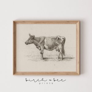 Tranh treo tường, tranh phong cảnh động vật trang trí, Vintage Cow Sketch Print: Farmhouse Cattle Wall Art