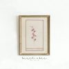 Tranh treo tường, tranh hoa cổ điển trang trí, Vintage Floral Art Print: Antique Botanical Illustration