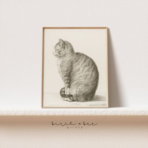 Tranh treo tường, tranh phong cảnh động vật trang trí, Vintage Cat Drawing Print: Antique Farmhouse Wall Art
