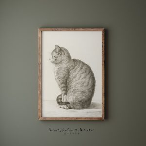 Tranh treo tường, tranh động vật cổ điển trang trí, Vintage Cat Sketch Print: 1800s Antique Style Wall Art