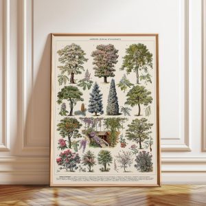 Tranh treo tường, tranh hoa cổ điển trang trí, Botanical Tree Chart Print: Vintage Nature Wall Art