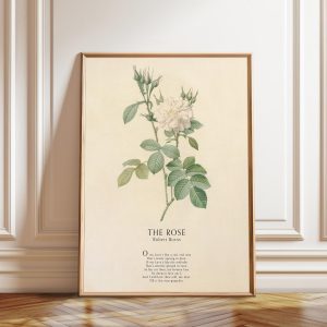 Tranh treo tường, tranh hoa cổ điển trang trí, Robert Burns 'The Rose' Art Print: Vintage Scottish Poetry, Botanical Floral