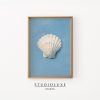 Tranh treo tường Coastal Seashell Painting Beachy Apartment Decor