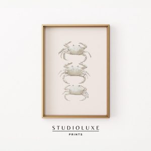 Tranh treo tường Minimalist Crab Trio Print Coastal Nautical Wall Art