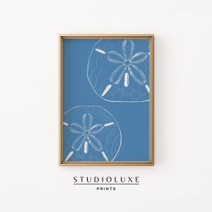 Tranh treo tường Sand Dollars Art Print Beachy Blue Coastal Decor
