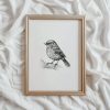 Tranh treo tường Bird Sketch Print  PRINTABLE Wall Art  Chickadee Digital Artwork  Bird Home Decor