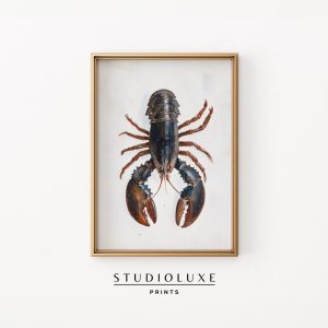 Tranh treo tường Lobster Illustration Painting - Coastal Wall Art