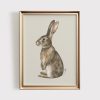Tranh treo tường Rabbit Nursery Print  Antique PRINTABLE Wall Art  Neutral Bunny Room Decor