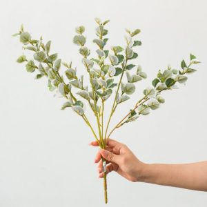 Cành Lá Bạch Đàn Dola Giả Decor
