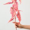 Cành Lá Đỏ Giả Decor