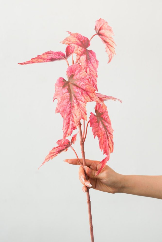 Cành Lá Đỏ Giả Decor