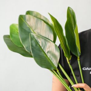 Cụm Lá Chuối Giả Decor